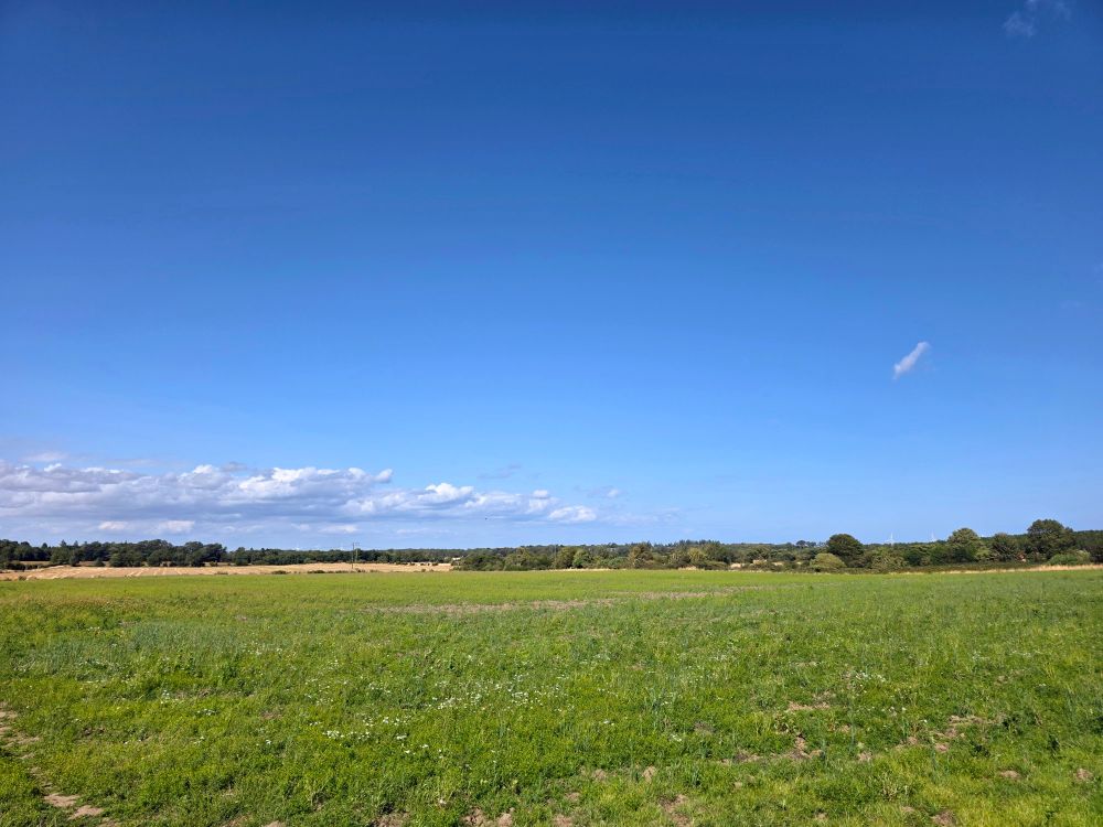 Same as before but landscape with bright green grass
