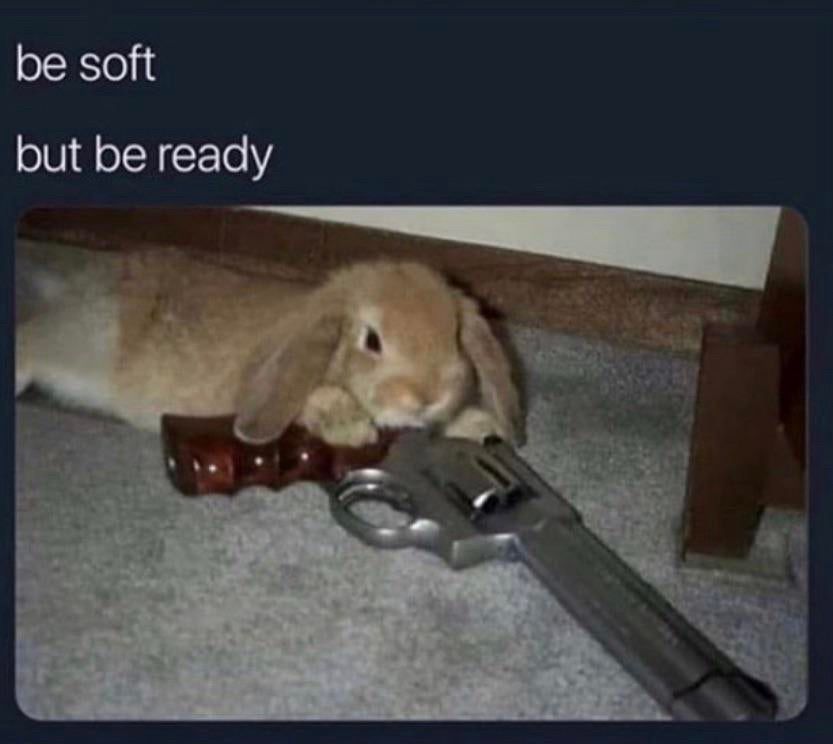 be soft
but be ready

A picture of a bunny with a long revolver 