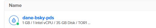 Screenshot of a user interface element. Under a "Name" heading, an item is listed: "dane-bsky-pds" with a blue droplet icon and a green status indicator. Below the name, the specifications "1 GB / 1 Intel vCPU / 35 GB Disk / TOR1 ..." are displayed.