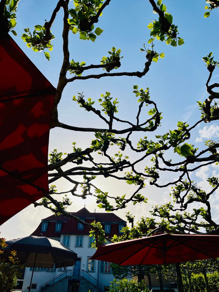 Blick vom Café Evi auf Jazzarchiv