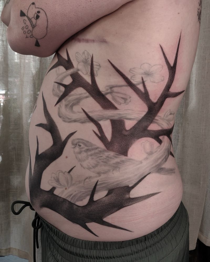 Side view: A photograph of @itskindaok torso, showing their fresh tattoo. It spans from their waist line, up the left side of their stomach and around their lower rib cage. The fresh tattoo is an interpretation of thick jagged branch. The branch, with a dark stippled texture, weaves around an existing tattoo of a soft and curvy branch that has blossoms and small bird perched on it. @itskindaok is also a tattoo artist!
