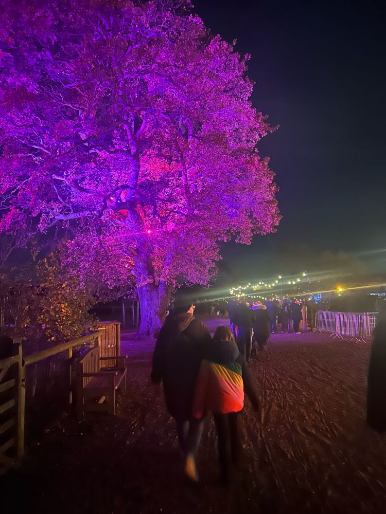 Yorkshire wildlife park Illuminations