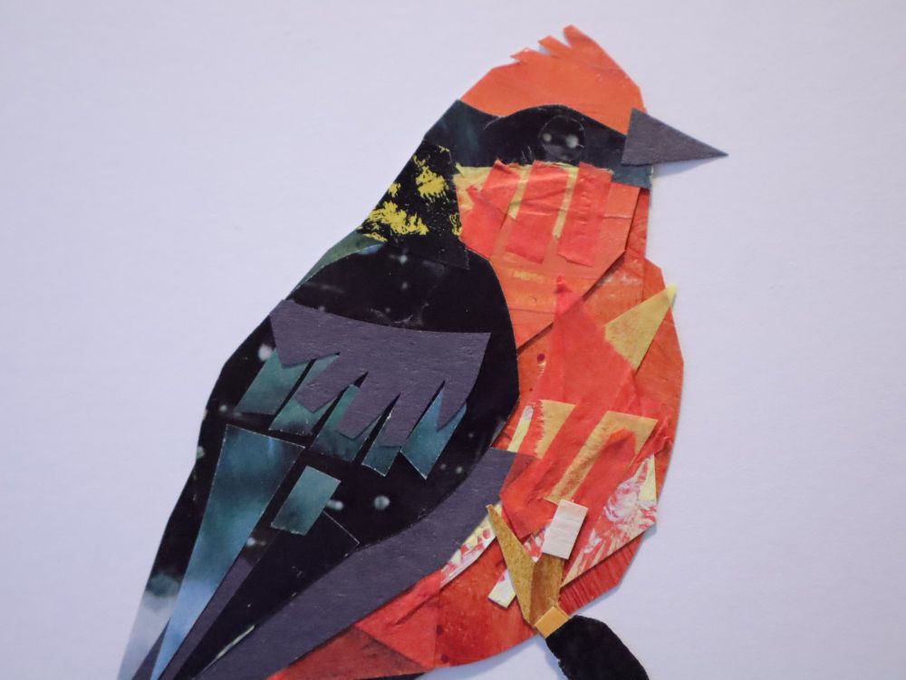 A highly textured cut-paper collage of a red and black bird on a white background. 