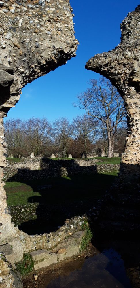 A view through a ruined archway to tres and ruined walls.