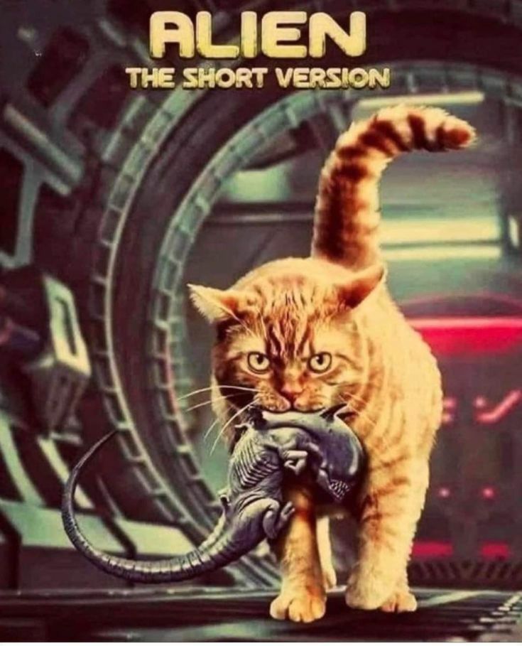 Mock up of Alien film poster with a ginger cat carrying a dead Alien in it's mouth.
The title is Alien The Short Version.
