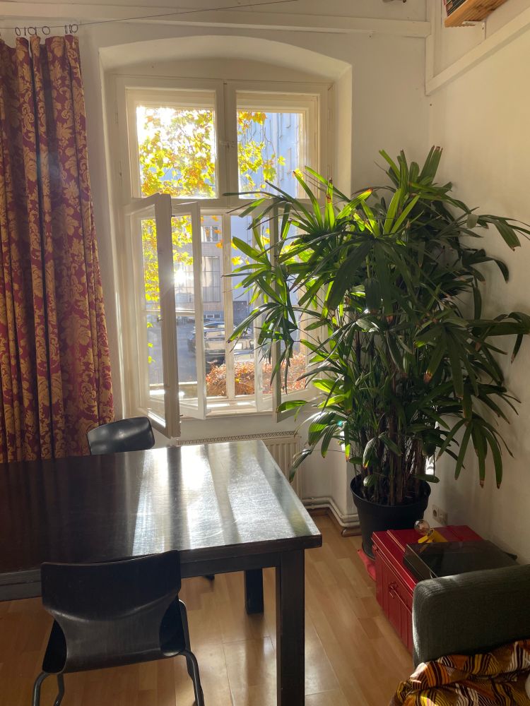 Sunshine coming through the window of an apartment 