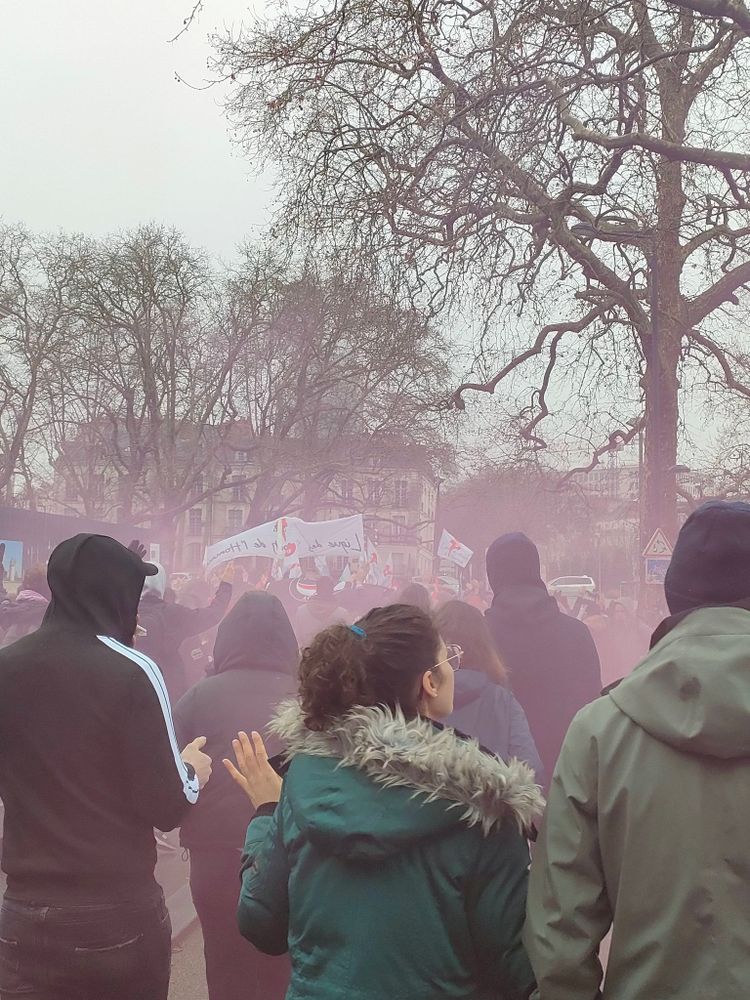 Cortège de la manif contre la loi darmanin avec un fumigène rose