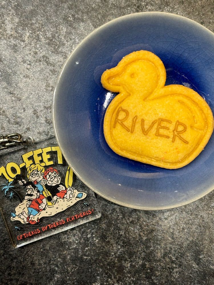 きれいにRIVERって書かれた鴨さん爆誕