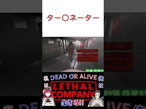 アイル・ビー・バックでございます。