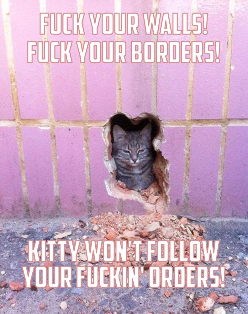 Small cat loafing in a cat shaped hole, in a pink tiled wall. With text over and under it, that reads 
FUCK YOUR WALLS!
FUCK YOUR BORDERS!
KITTY WON'T FOLLOW YOUR FUCKIN' ORDERS!