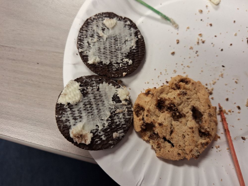 The remains of two cookies. An open oreo with most of the cream gone and a chocolate chip cookie with most of the chocolate dug out.