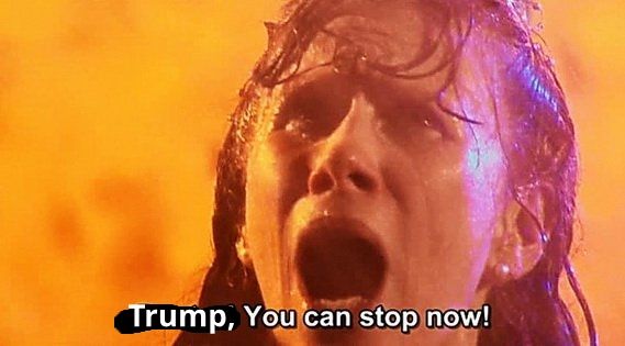 Donna Noble from Series 3, Episode 1 of Doctor Who, saying "Doctor, you can stop now!" but edited to say "Trump" instead of "Doctor"