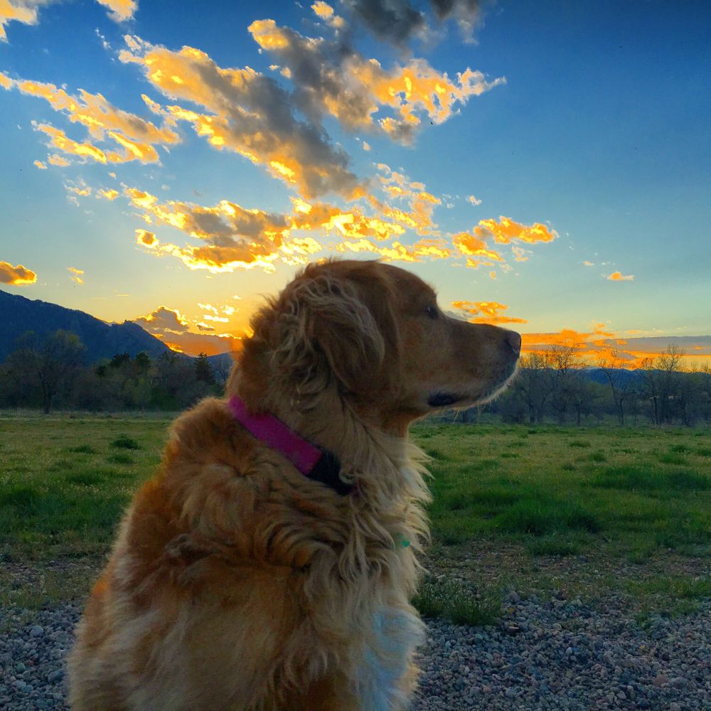 The most beautiful, good girl in the world - Lola Lulu Flower.