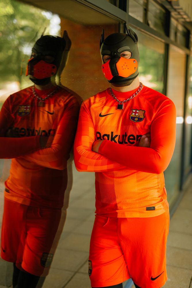 Pup in orange football kit leaning against glass