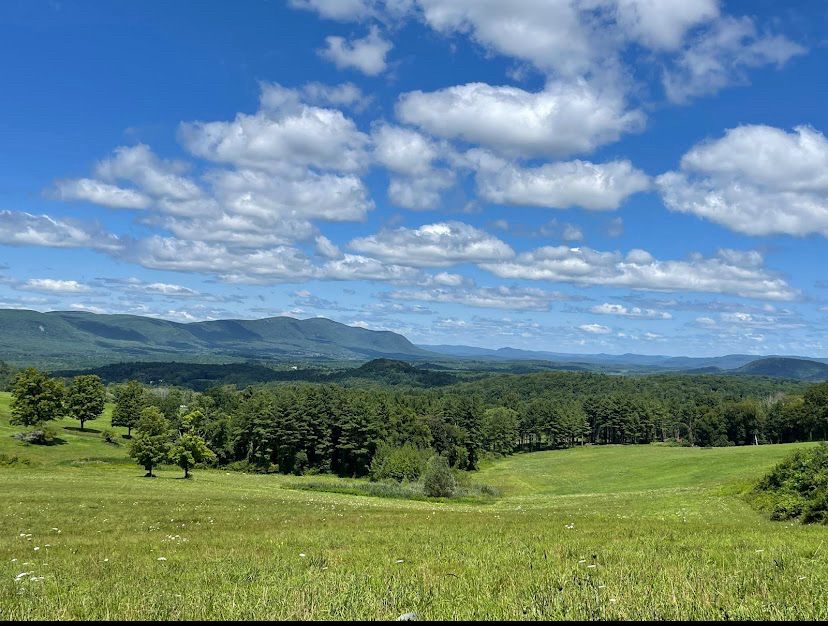 Rolling hills of grass and dispersed tree foliage with distant wide mountain 