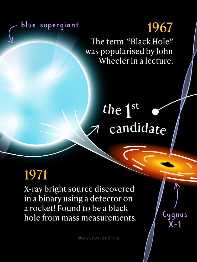The title of this infographic reads “the 1st candidate“ with two main points

1. 1967 - the term “black hole“ was popularised by John Wheeler in a lecture
2. 1971 - x-ray bright source discovered in a binary using a detector on a rocket! Found to be a black hole from mass measurements.

in the centre of this infographic there is an illustration of a large blue star with matter accreting onto a black hole. The black hole has an accretion disc around it that is glowing orange and red and has jets flowing away from the black hole. The star is labelled as “blue supergiant“ and the black hole is labelled “Cygnus X-1“