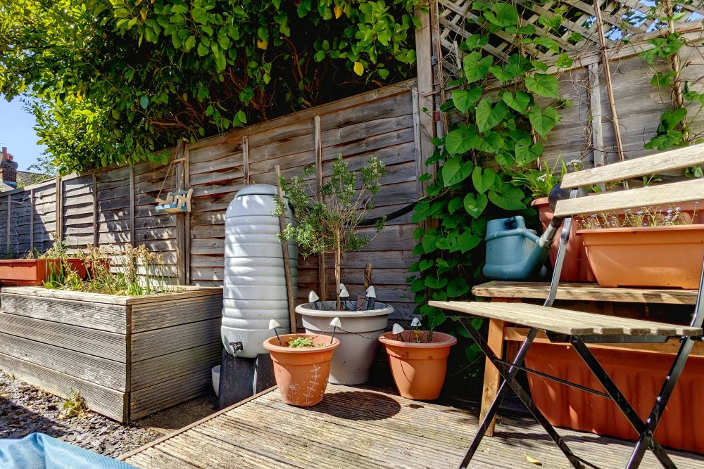 A sunny snapshot of my back garden. An array of plant pots and a grey waterbutt, in the foreground is a wooden chair. There's green foliage climbing runners along the fence and a large bush is peeking over the top of the fence in the background.