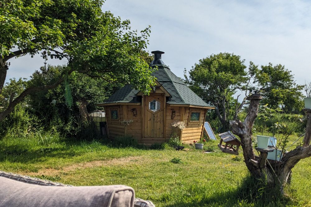 A wide photo of my parents' back garden. In the centre of the frame is a wooden summerhouse surrounded by trees. In the right foreground is a tree stump with a variety of bird houses and plant pots.