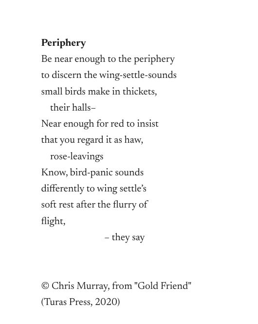 A capture of the poem "Periphery" which has too many characters to fit into a bluesky post ... it is about wing-settling birds in peripheral hedges.