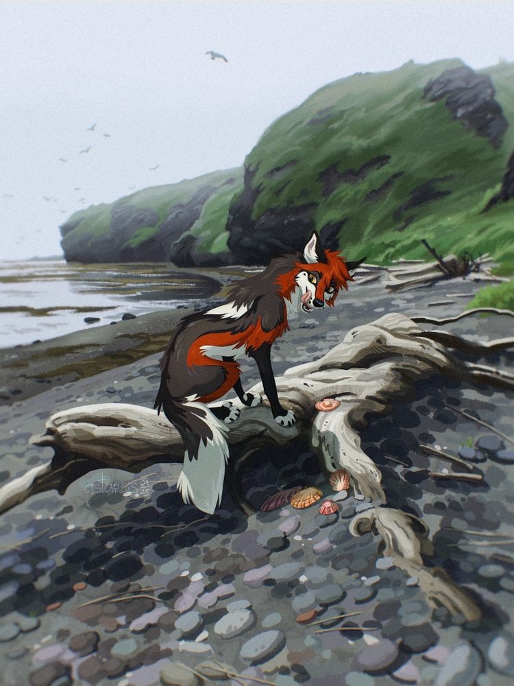 Wolf sitiing on a tree trunk near the shore and eating the seafood
