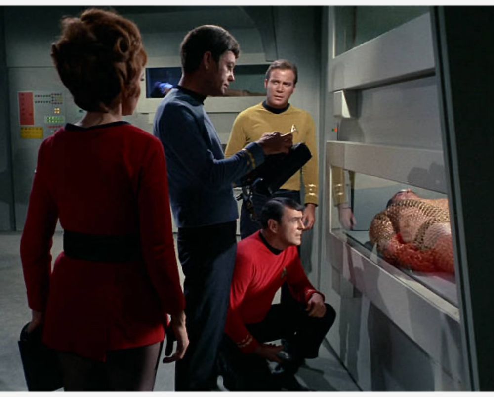 Scene Star Trek “Space Seed” when crew wakes up Khan.