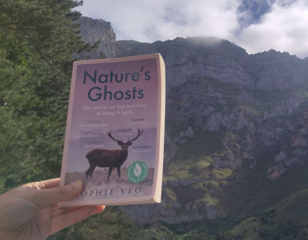 A copy of the book Nature's Ghosts by Sophie Yeo held up in front of a mountain