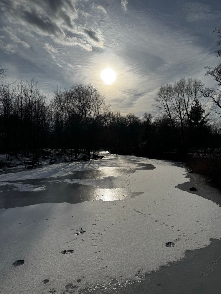 Frozen Prospect Park Lake with animal tracks and gray blue sky with a low winter sun
