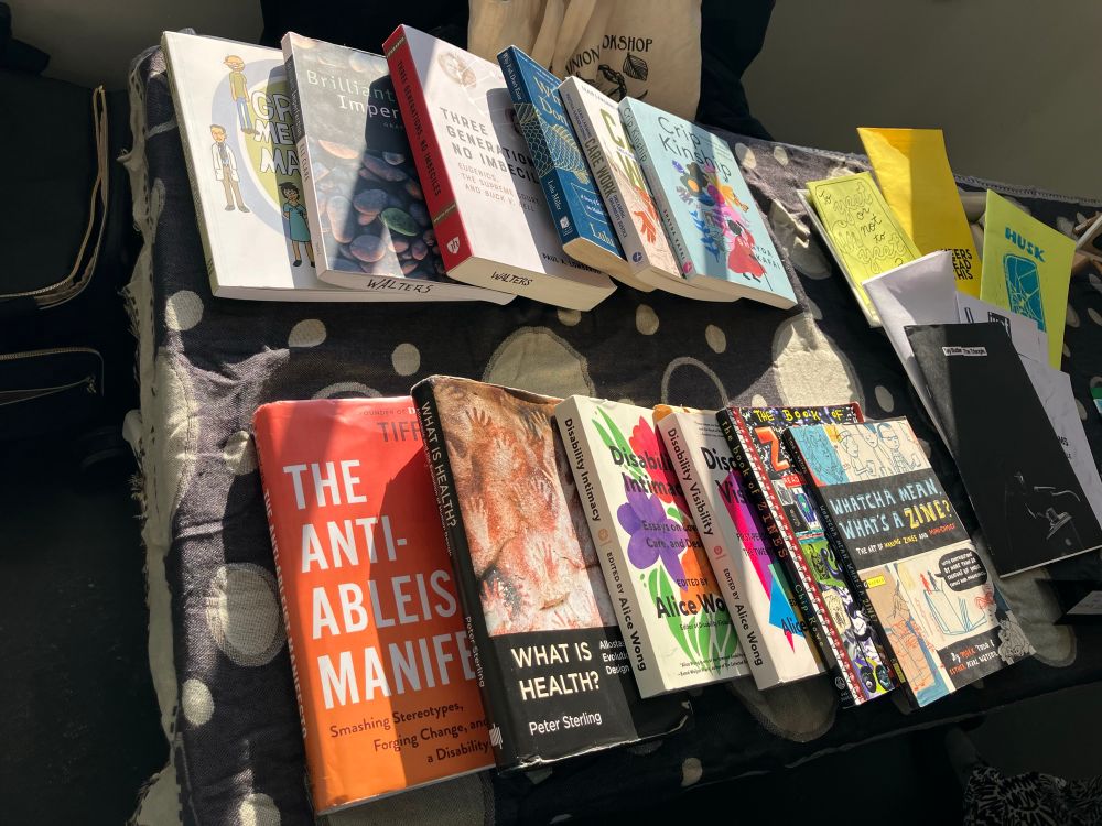 Photo of an array of books on disability justice and zines, on a table in the sun