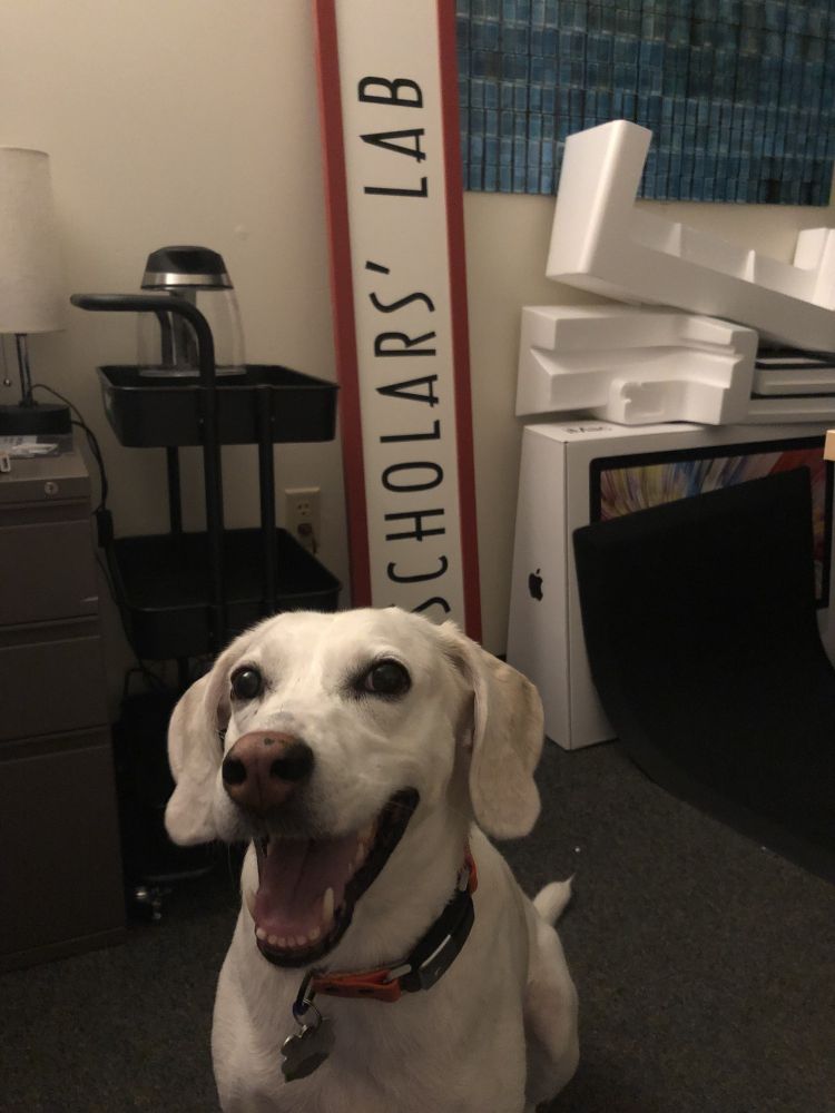 Indoor photo, with a white lab-hound mix dog sitting in the foreground looking at the camera and grinning/panting widely. In the background, a large wooden sign that says "Scholars' Lab" in art deco font is visible leaning against the wall. The room is somewhat messy because I'd just moved into a temp smaller space.