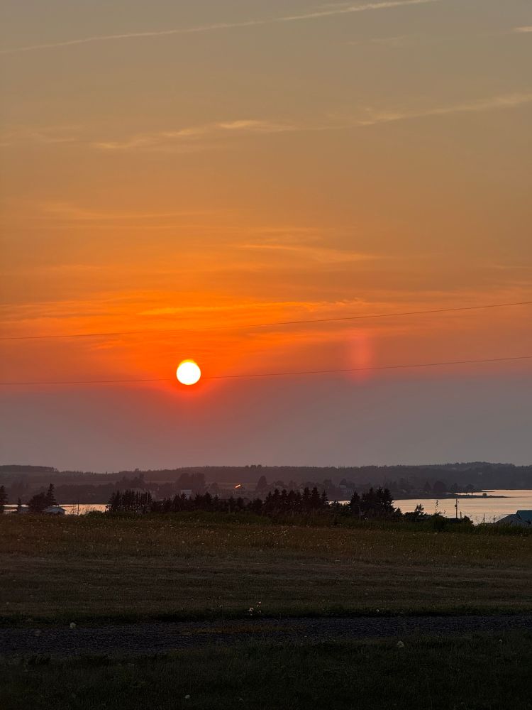 Orange sunset photo 