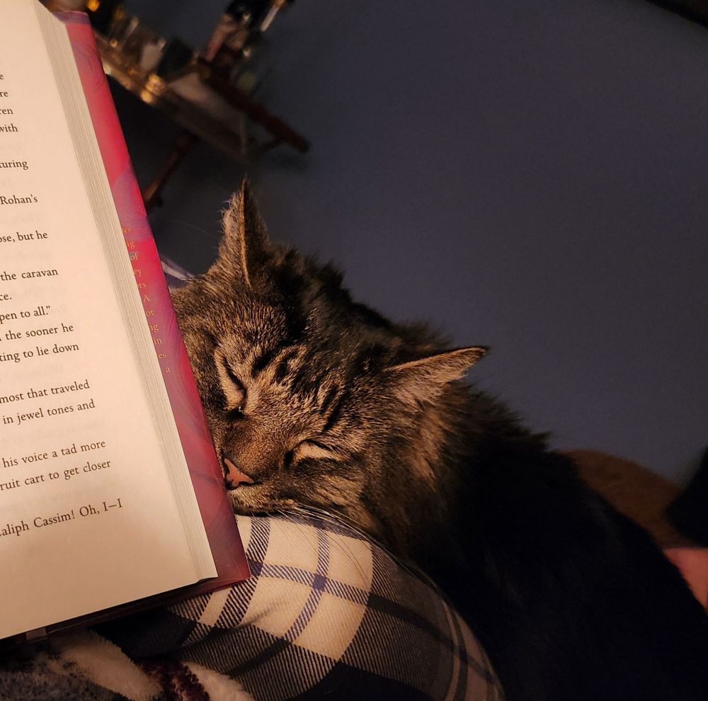 Black cat napping in my lap while I read The Wishless Ones by Hafsah Faizal.