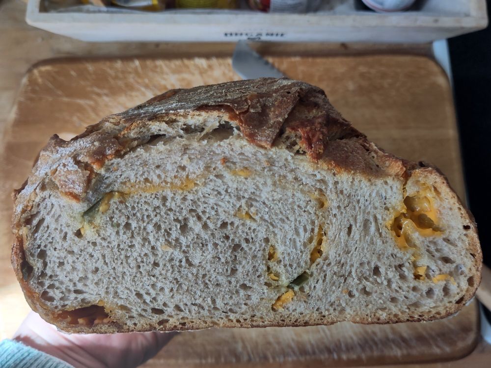 cross section of the wheat-sourdough cheddar-jalapeno-bread with a light fluffy crumb & spots of molten cheese and jalapeno visible.