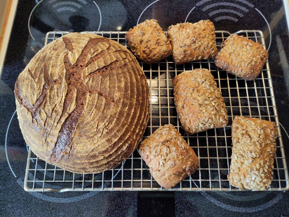 one loaf of wheat-sourdough bread & six discard-sourdough bread rolls, with sunflower seeds, after baking on a cooling rack.
