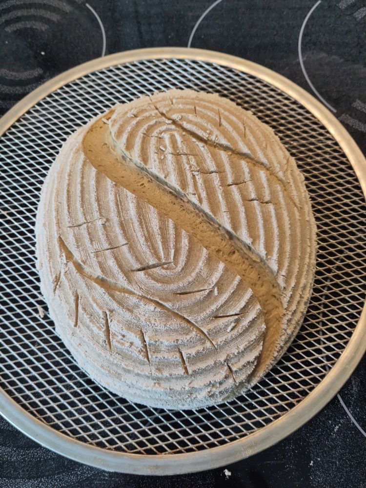 raw, oval wheat sourdough loaf with s-shaped & featherlike scoring, on a round pizzascreen.