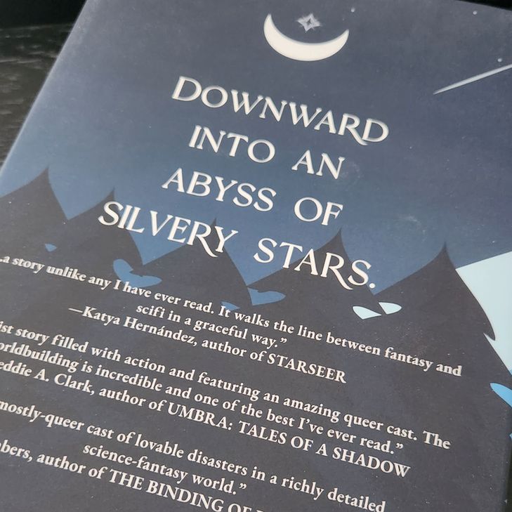 The back of The Thirteenth Key hardcover dust jacket with a crescent moon cradling a star above a forest with the words: "Downward into an abyss of silvery stars."

Under it, there are the following author blurbs:
"...a story unlike any I have ever read. It walks the line between fantasy and scifi in a graceful way." —Katya Harnández, author of STARSEER

"...a heist story filled with action and featuring an amazing queer cast. The worldbuilding is incredible and one of the best I've ever read." —Freddie A. Clark, author of UMBRA: TALES OF A SHADOW

"...a mostly-queer cast of lovable disasters in a richly detailed science-fantasy world." —Siggy Chambers (now Vesper Doom), author of THE BINDING OF BLOOM MOUNTAIN