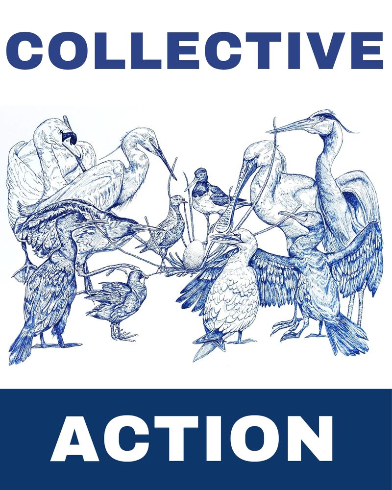 Waterbirds work together to hold up an egg. The words "Collective Action" are above and below the drawing, an original artwork in blue pen on white paper by Felicity Inkpen. 