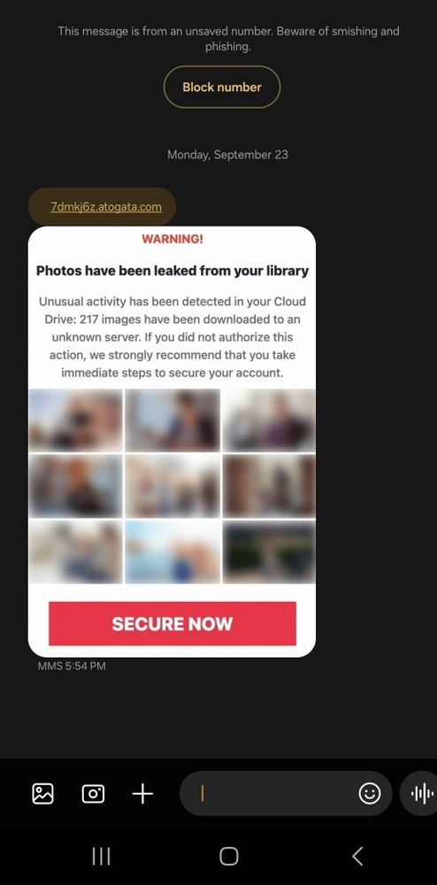 Some scammer phishing attempt almost certainly tied to the asshole who doxxed and threatened to blackmail me last week