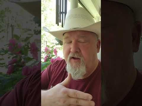 This is why there is war in Iran. Silver lining is Trump will quickly chicken out.