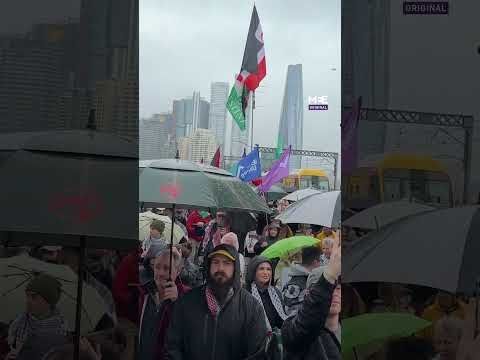 300,000 people march against Israel's war on Gaza in Sydney