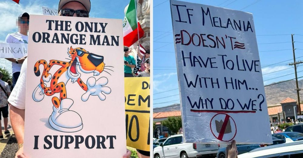 31 More Absolutely Hilarious Signs From The "No Kings" Protests