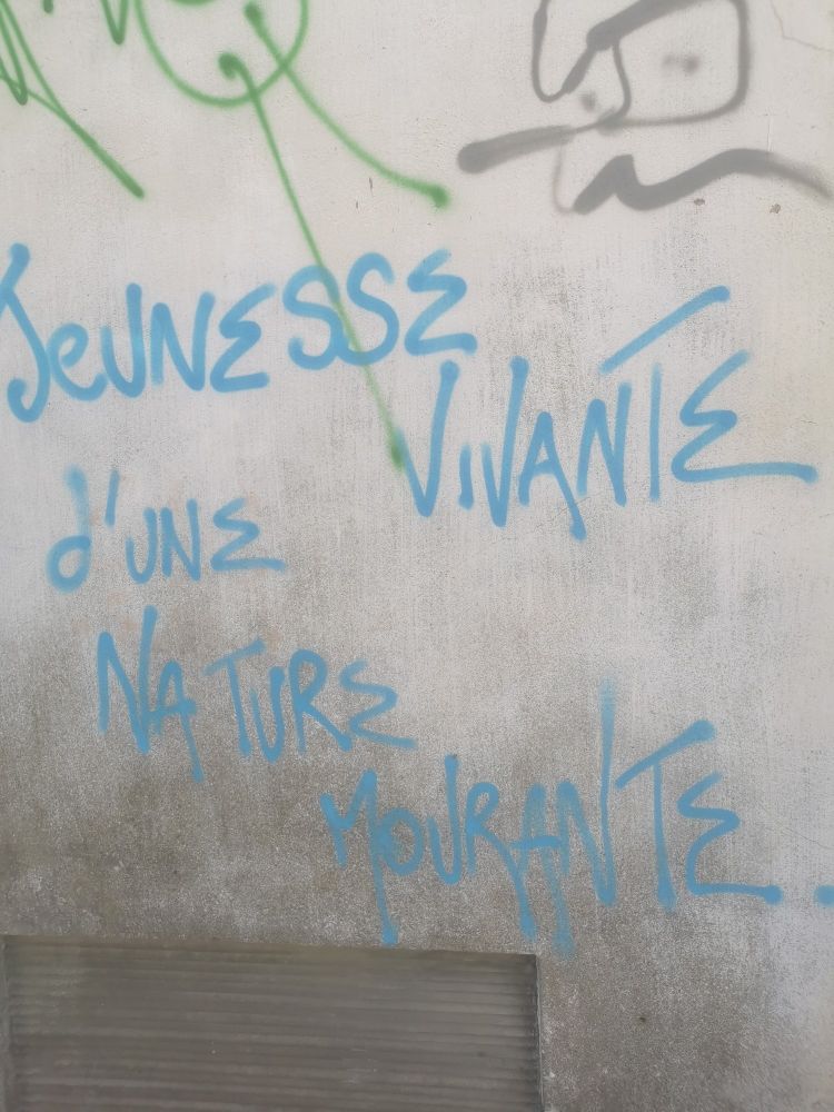 Tag sur un mur gris (banlieue nantaise) jeunesse vivante d'une nature mourante