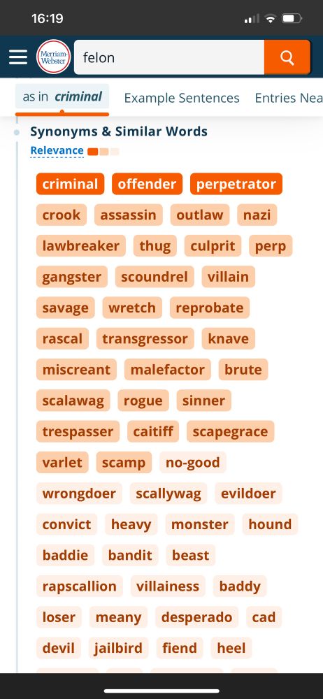 List of synonyms for felon