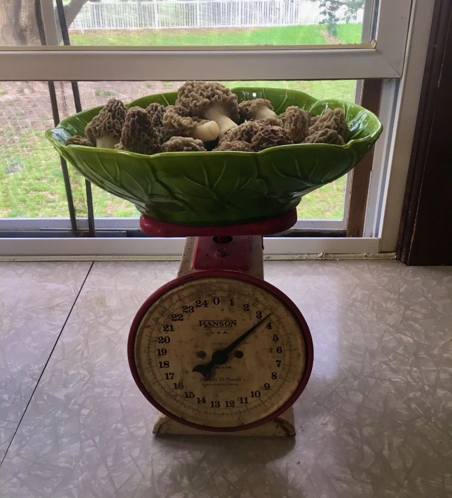The bowl is shown on an old fashioned, antique store scale. It reads 3 1/2 pounds. The bowl weighs two pounds empty.