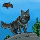 Digitally drawn and coloured picture: A wolf with grey, black, silver and brown colouring on a grey rock by a cartoonish fir tree - flying above is a bird of prey (a Harris Hawk).