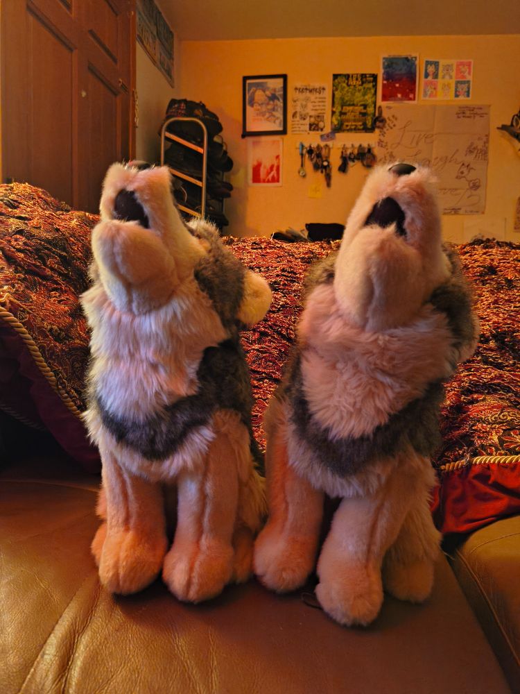 wolf missile 2 and wolf missile 1 left to right 