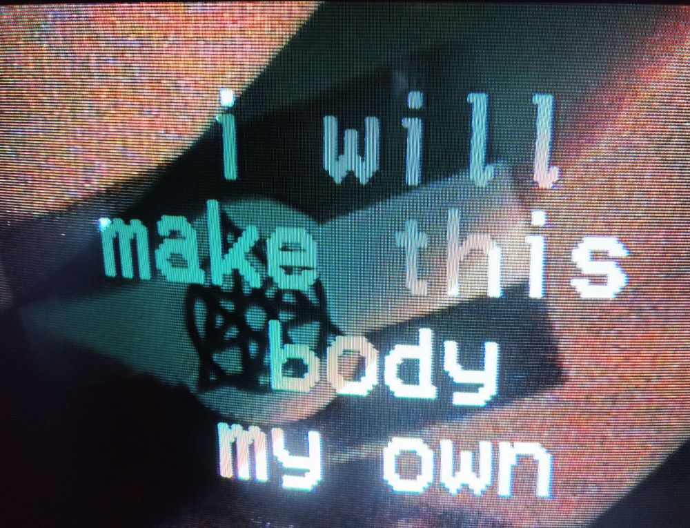 a CRT screen with analog text "I will make this body my own" over a VHS still frame of the Nonhuman Unity Flag