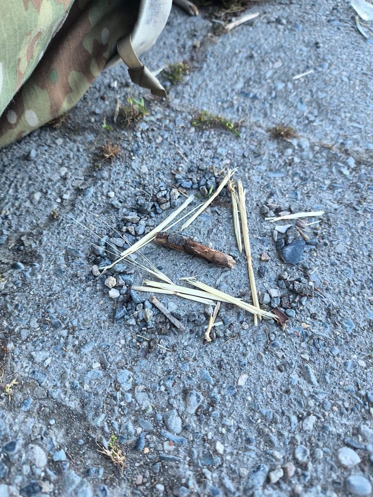 theta delta made from rocks and sticks