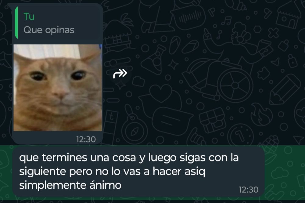 Lucía, citando a un mensaje mío que dice "que opinas": sticker de un gato
Lucía: que termines una cosa y luego sigas con la siguiente pero no lo vas a hacer asiq simplemente ánimo 