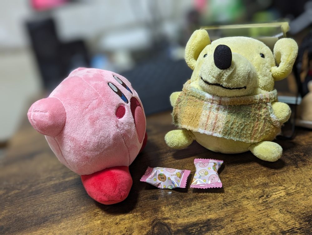 カービィに吸い込まれるぽち
ぬいぐるみ部