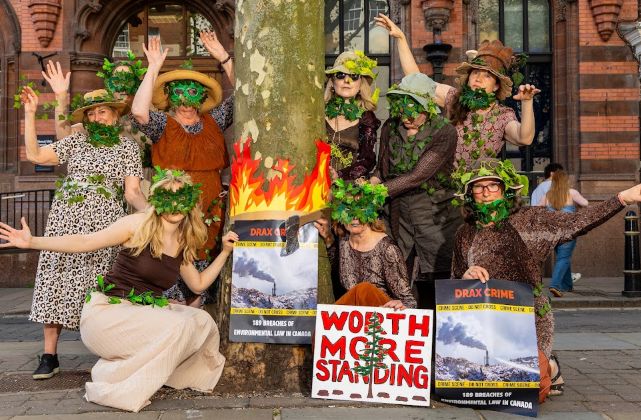 Protesters wearing tree masks gather around a tree in York city centre wearing tree masks and holding placards.